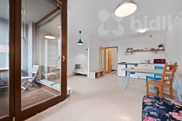 Pronájem bytu 1+kk (38 m²) Podolí - Photo 1