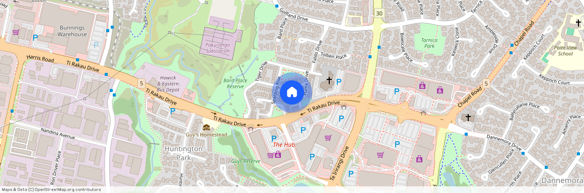 22 Spalding Rise, Golflands, Manukau City