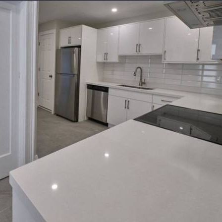 Amazing Yonge & Eglinton- Newly Renovated Large 2 bed. Duplex House - Photo 3