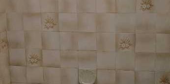 4 1/2 à Mascouche /Terrebonne disponible avril ou juillet - Photo 2