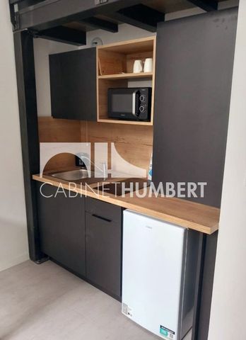 Location Appartement 1 pièce 28m² ST ETIENNE 42000 - Photo 3