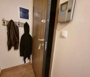 Studio/Γκαρσονιέρα για ενοικίαση Κυνοσάργους (Νέος Κόσμος) - Photo 3