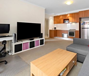 Executive apartment overlooking Mark Taylor Oval - Photo 1