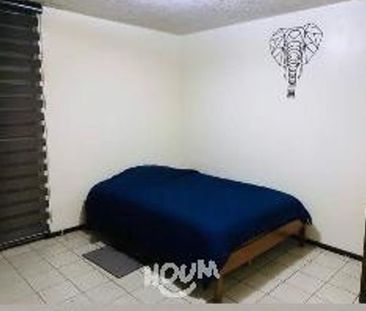 Departamento Jardines del Country ID: 175387 - Photo 2