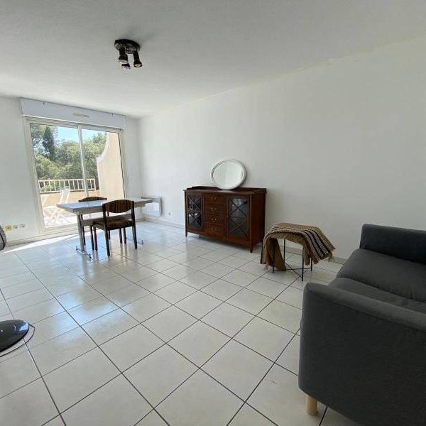 Location appartement 2 pièces 44.52 m² à Montpellier (34000) - Photo 1