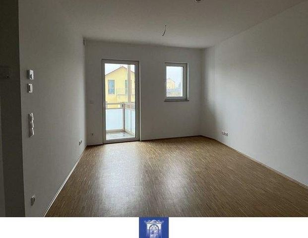 Erstbezug! Charmante Neubauwohnung mit Balkon, schicker EBK und Lift! - Photo 1