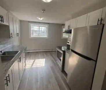 Beautifully Renovated Large 2 bedroom 1 Bathroom Unit For Rent | 1A... - Photo 1