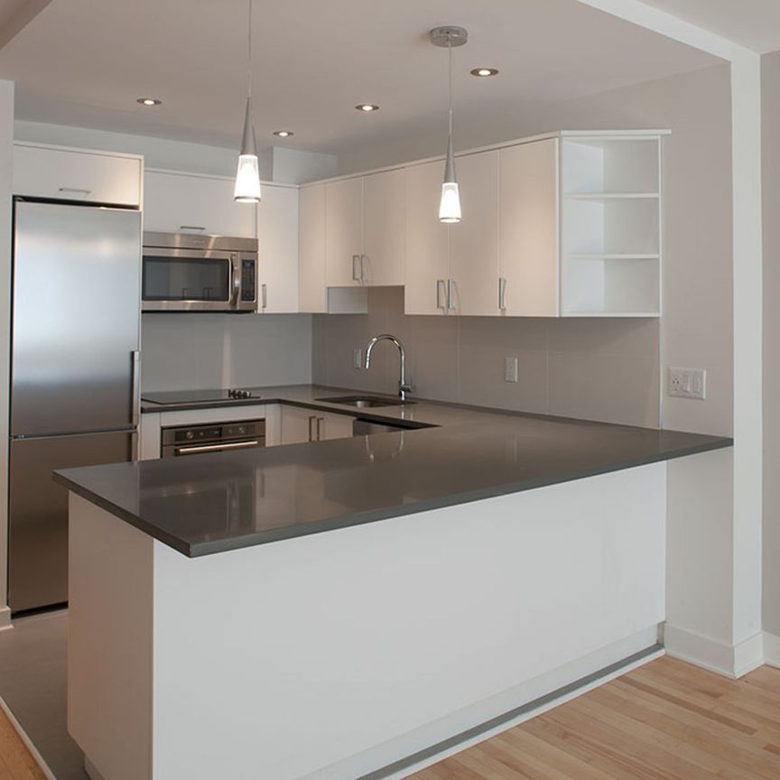 3495 Rue de la Montagne - Photo 1