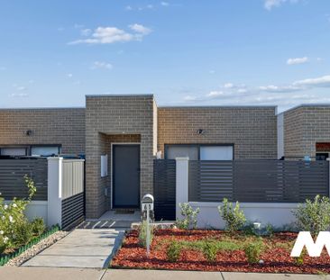 61 Maggie Scott Terrace, Whitlam ACT 2611 - Townhouse For Rent | Do... - Photo 6