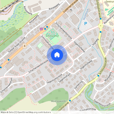 Schachenweidstrasse 45, 6030 Ebikon