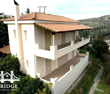 Μονοκατοικία για ενοικίαση Αλαμάννος (Σαρωνικός) - Φωτογραφία 5