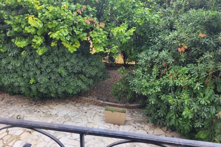 LOCATION 3P EVECHE PROCHE LIBERATION - Photo 4