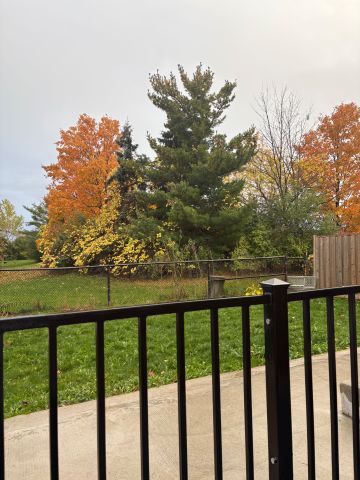 For Lease - 26 GATESGLL Street Unit# LOWER, Brampton, Ontario - Photo 2