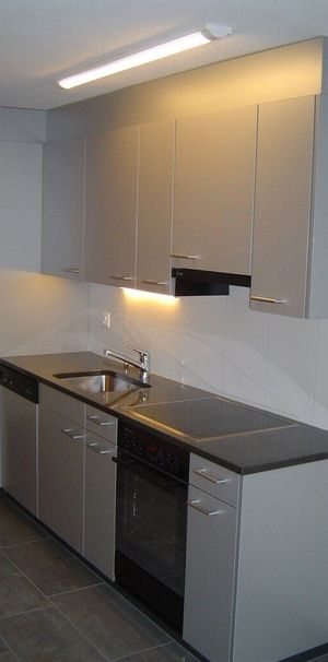 Living in the heart of Frauenfeld - Photo 1