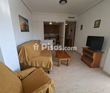 Apartamento en alquiler en Calle Mtro Jose Gonzalez Hndez, Número 2 - Photo 1