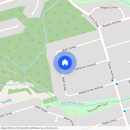 20 Gallacher Avenue Unit# Bsmt, Richmond Hill