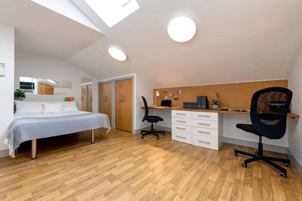Luxury Plus Studio - Photo 1