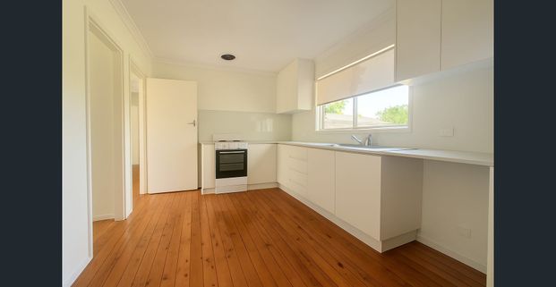 Freshly Painted - New Kitchen - Photo 1