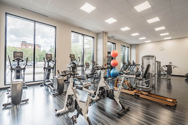 Rue St-Hubert, H2Y 0B9, Montréal - Photo 1