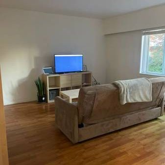 Sharably Large 1 Bedroom Apartment - Photo 3