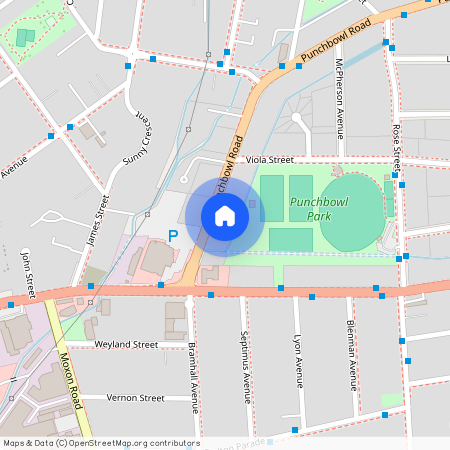 986 Punchbowl Road, Punchbowl, NSW 2196