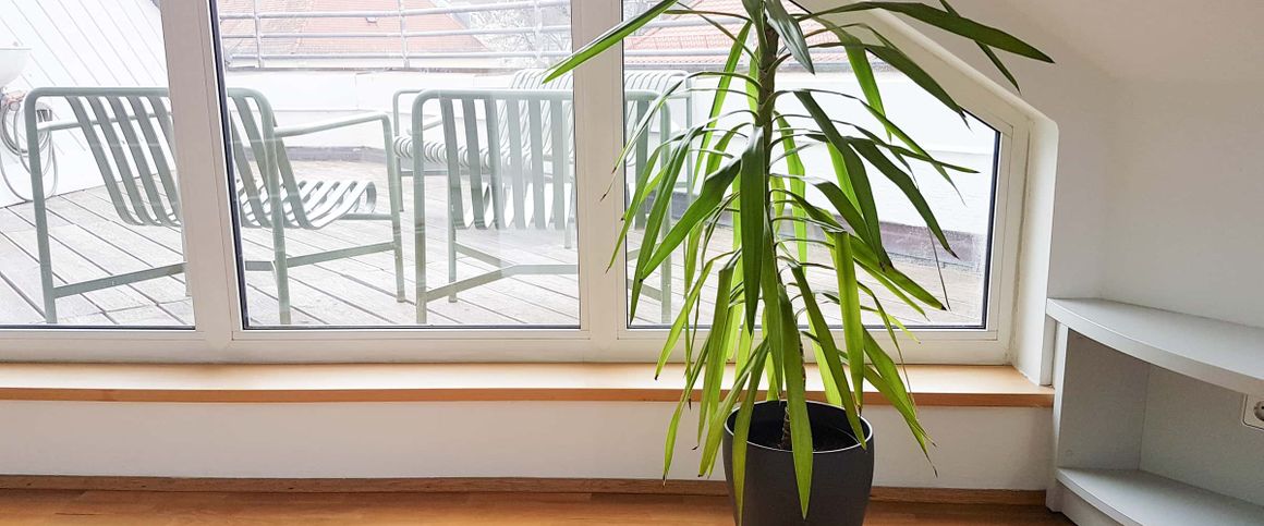 Kamin Room 6 Standard+ - Photo 1