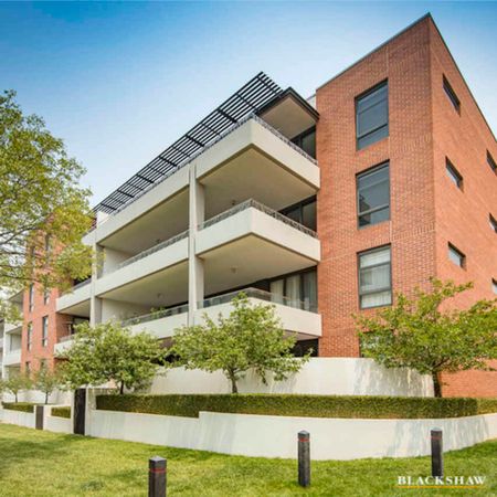 Stunning Courtyard Apartment in the heart of Kingston - Photo 3