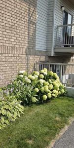 Appartement meublé à louer - Photo 4