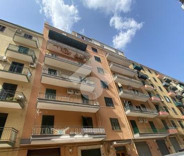 Trilocale in affitto - Photo 1