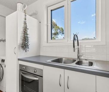 Welcoming Watson! - Photo 6