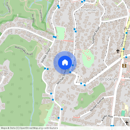 76 Mitchell St, Brooklyn, Wellington City