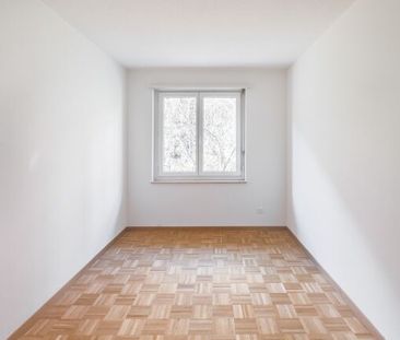 Belle vue sur les Alpes / le lac et coin salon dans le jardin - Photo 6