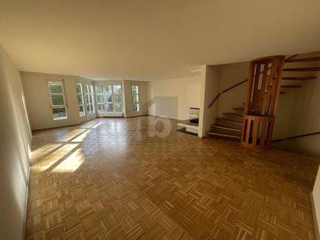 FAMILY ROOM WITH SAUNA, CHEMINÉE AND STUDIO - Foto 5