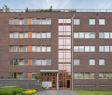 Aalscholverstraat - Photo 4