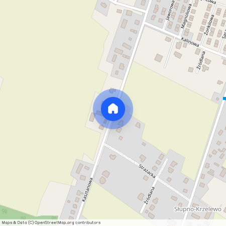 Płocki, Słupno, Kasztanowa