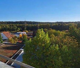 Grünes Rehhof: gemütliche 1-Zi.-Wohnung mit kleiner Dachterrasse! - Photo 1