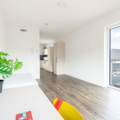 Rotsoord 19-263 - Diamantweg 2-168 - Photo 1