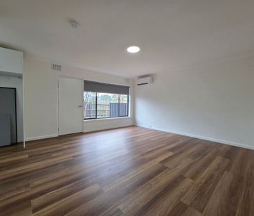 Sun Filled Unit - Photo 1