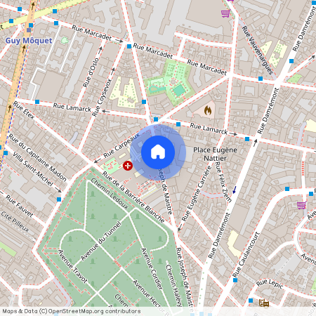 Rue Joseph de Maistre, Francja, Paris