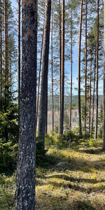 Tväråbäck 55 B - Photo 3