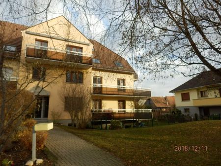 T3/4 La Wantzenau - Photo 2