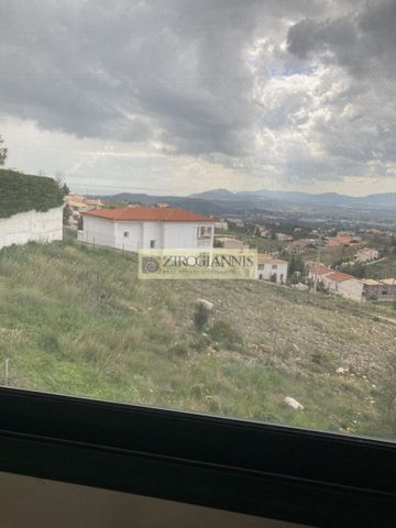 Μεζονέτα για ενοικίαση Διώνη (Πικέρμι) - Photo 5
