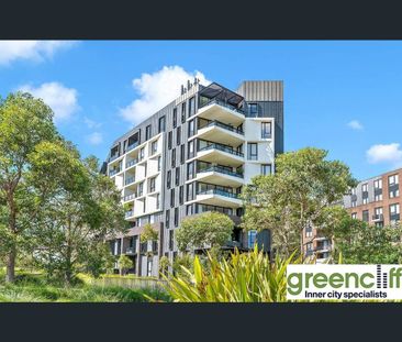 147 Ross St, Forest Lodge, NSW 2037 - Photo 2
