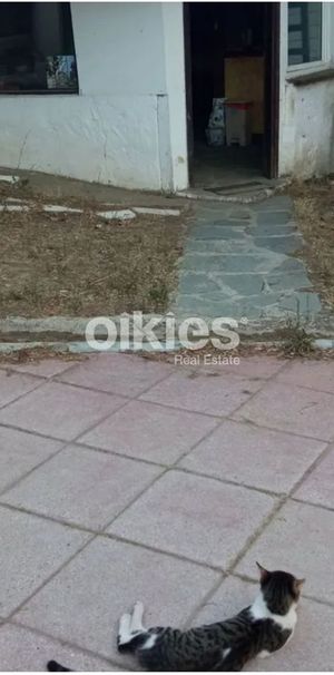 Ράντσο για ενοικίαση Πλαγιάρι (Μίκρα) - Φωτογραφία 1