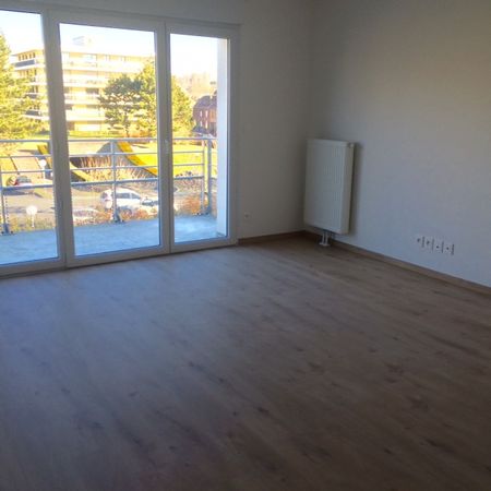 Superbe appartement T2 neuf "Résidence Le Beau Jardin" à Croix - Photo 4