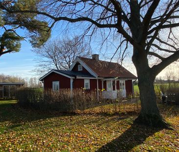 Tallen, Sätuna Pilgård, Linköping - Photo 1