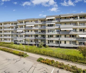 3 Zimmer, 62 m², 4. Stock - Foto 4