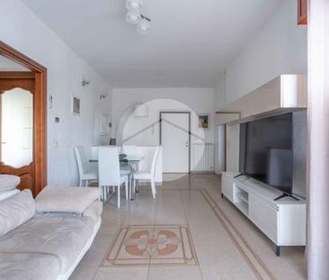 Trilocale in affitto - Photo 2
