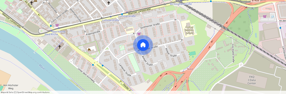 Alzeyer Str. 1, 65934 Frankfurt