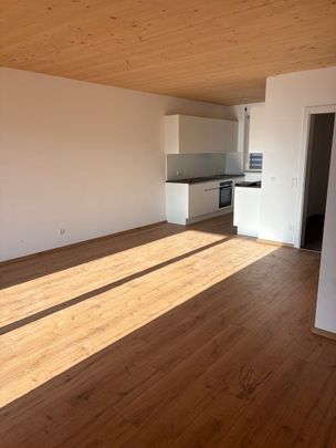 Moderne Maisonette in ruhiger Lage - Photo 1